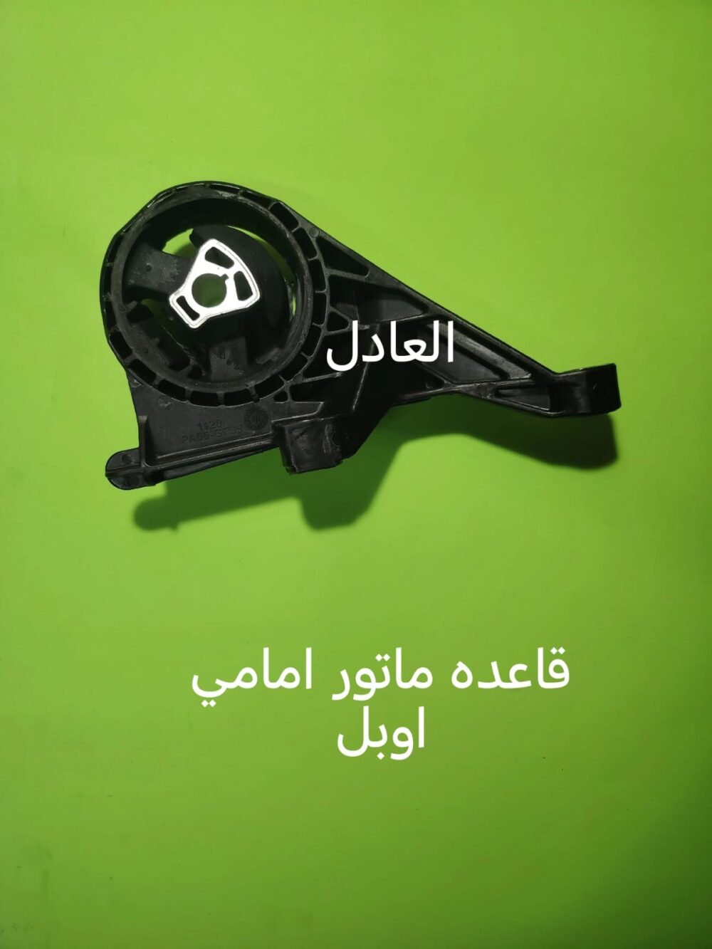 قاعده ماتور امامي